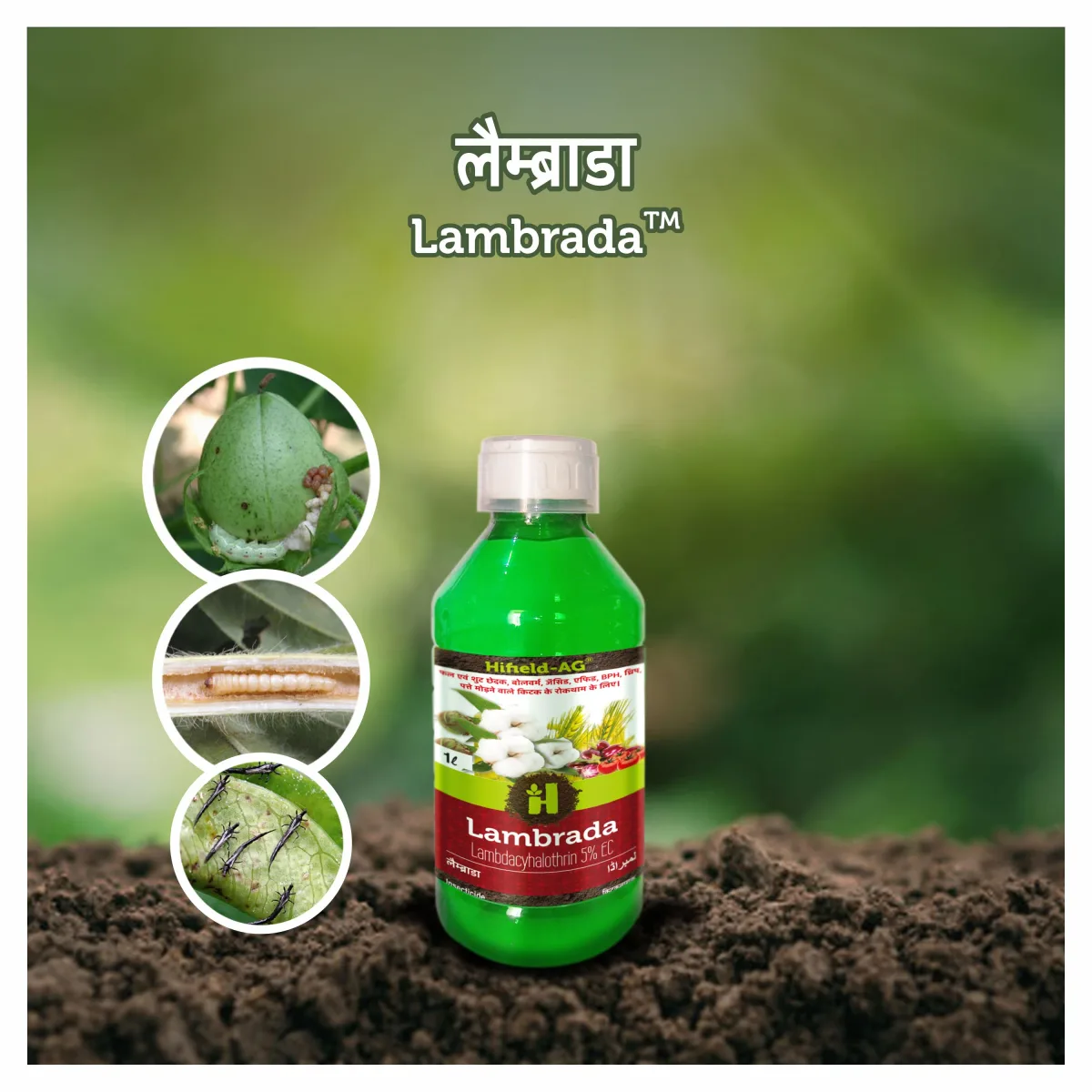 Lambrada®  लैंब्राडा (Lambdacyhalothrin 5% EC)