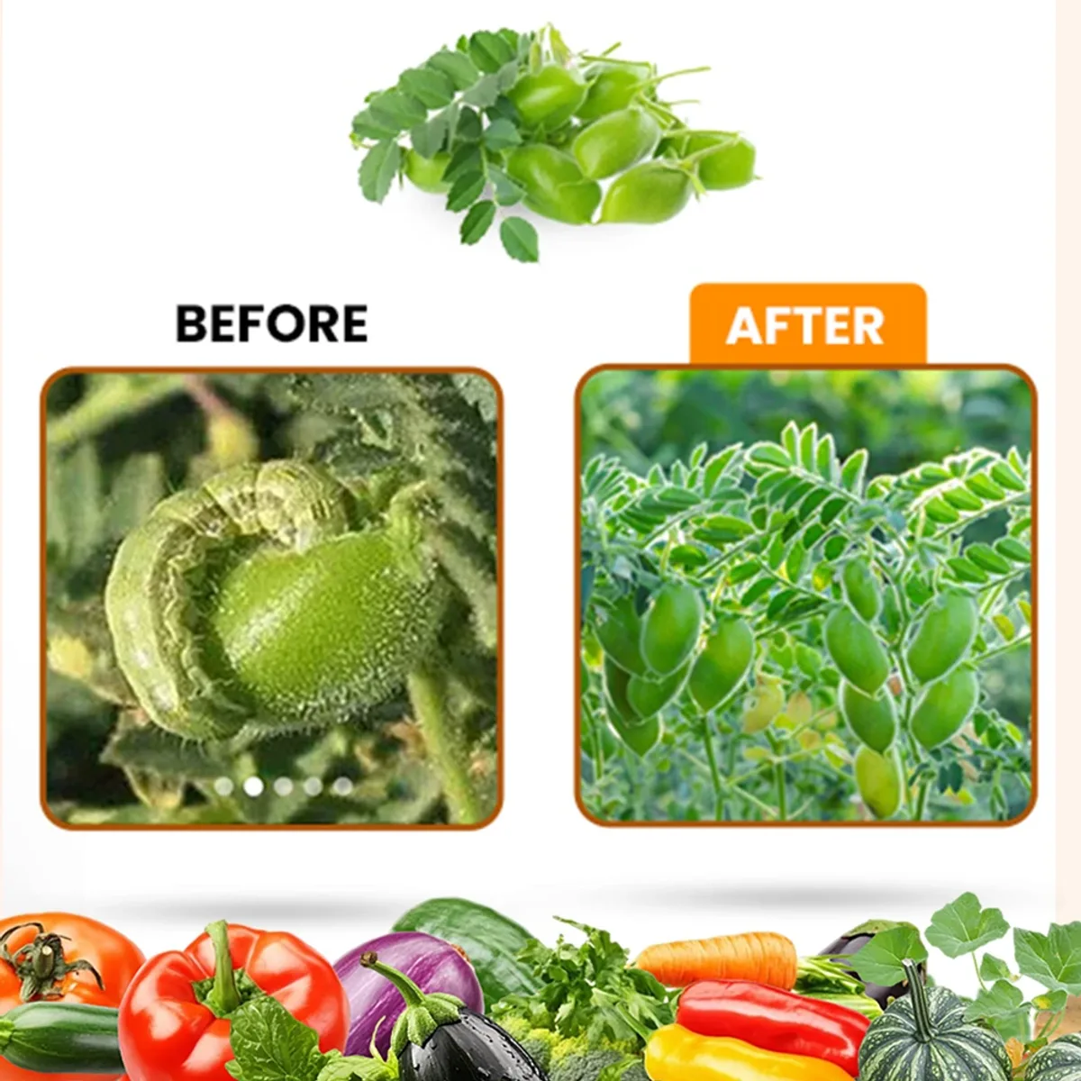 Kay Bee Organeem | Neem Oil 10000 PPM| Concentrated Organic Plant Spray for Healthy Growth & Leaf Shine