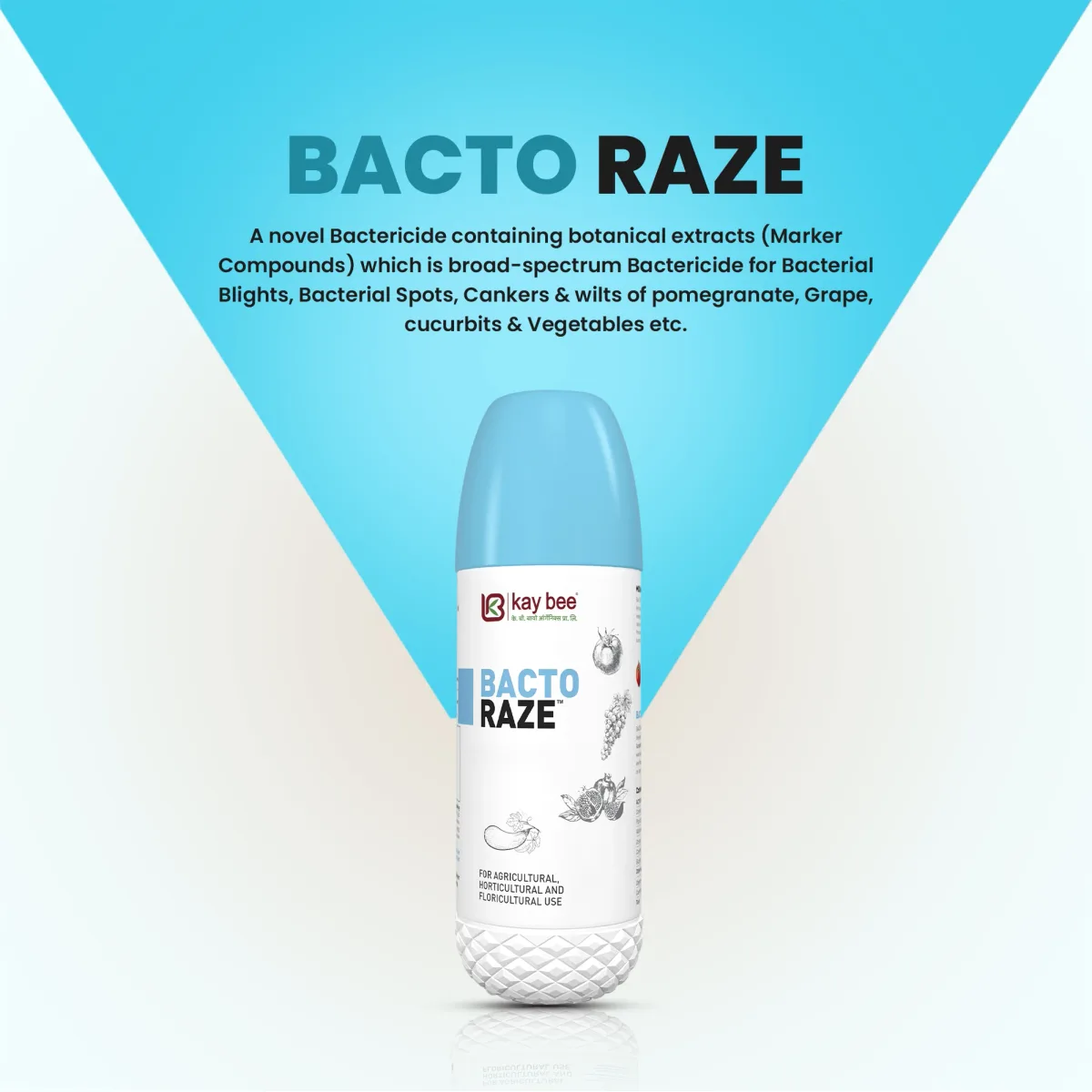 Kay Bee Bacto Raze | Organic Botanical extracted product For All Bacterial Disease in Plants