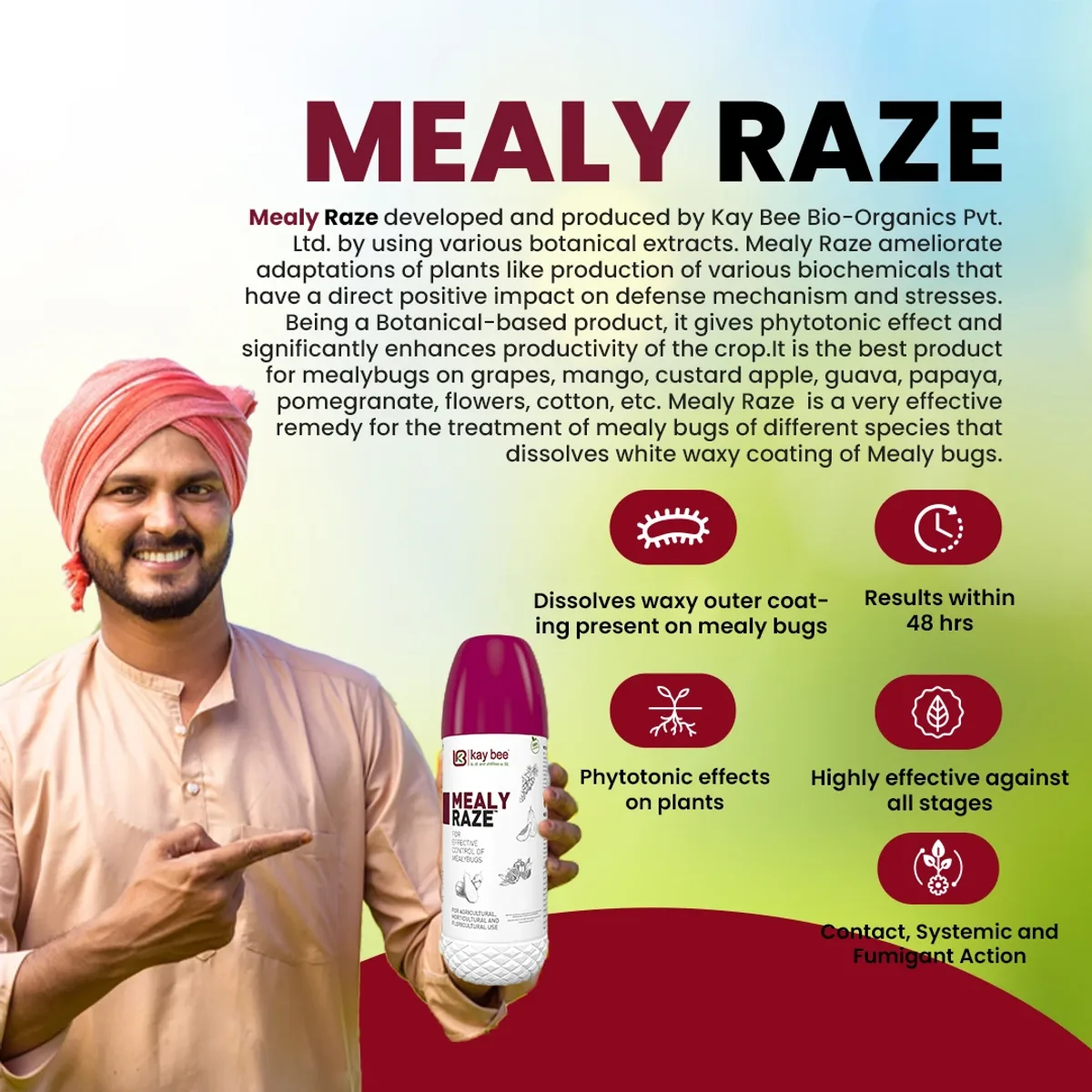 Mealy Raze – Best Insecticide for Mealybugs on Grapes, Mango, Pomegranate, Guava, Papaya, Cotton, and Other Crops