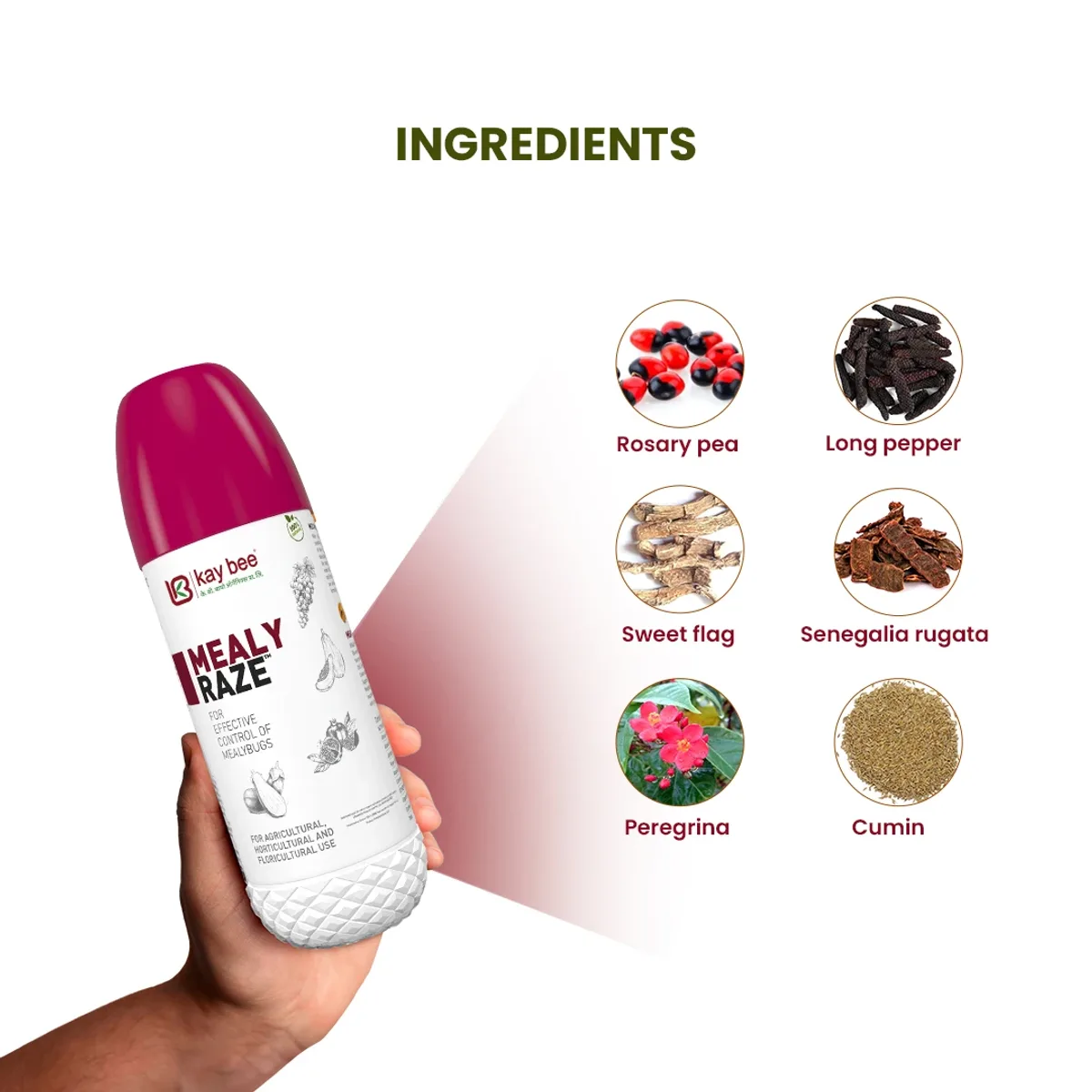 Mealy Raze – Best Insecticide for Mealybugs on Grapes, Mango, Pomegranate, Guava, Papaya, Cotton, and Other Crops