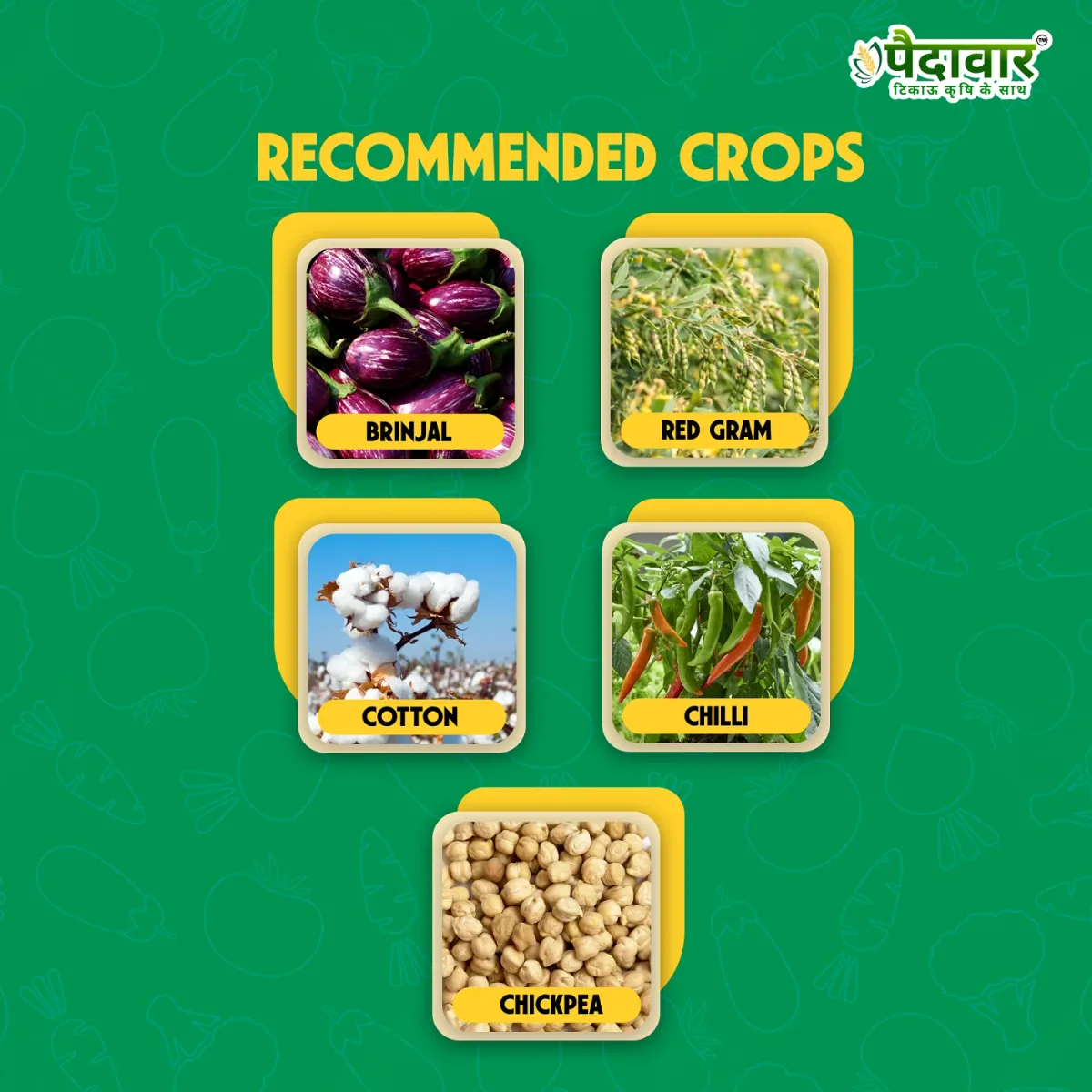 Paidavaar Shree Zone Emamectin Benzoate 5% SG Insecticide
