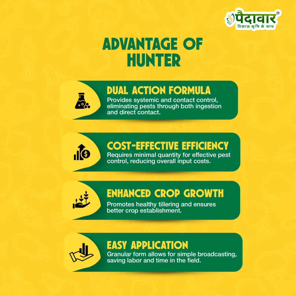 Paidavaar Hunter Insecticide - Chlorpyriphos 10% GR
