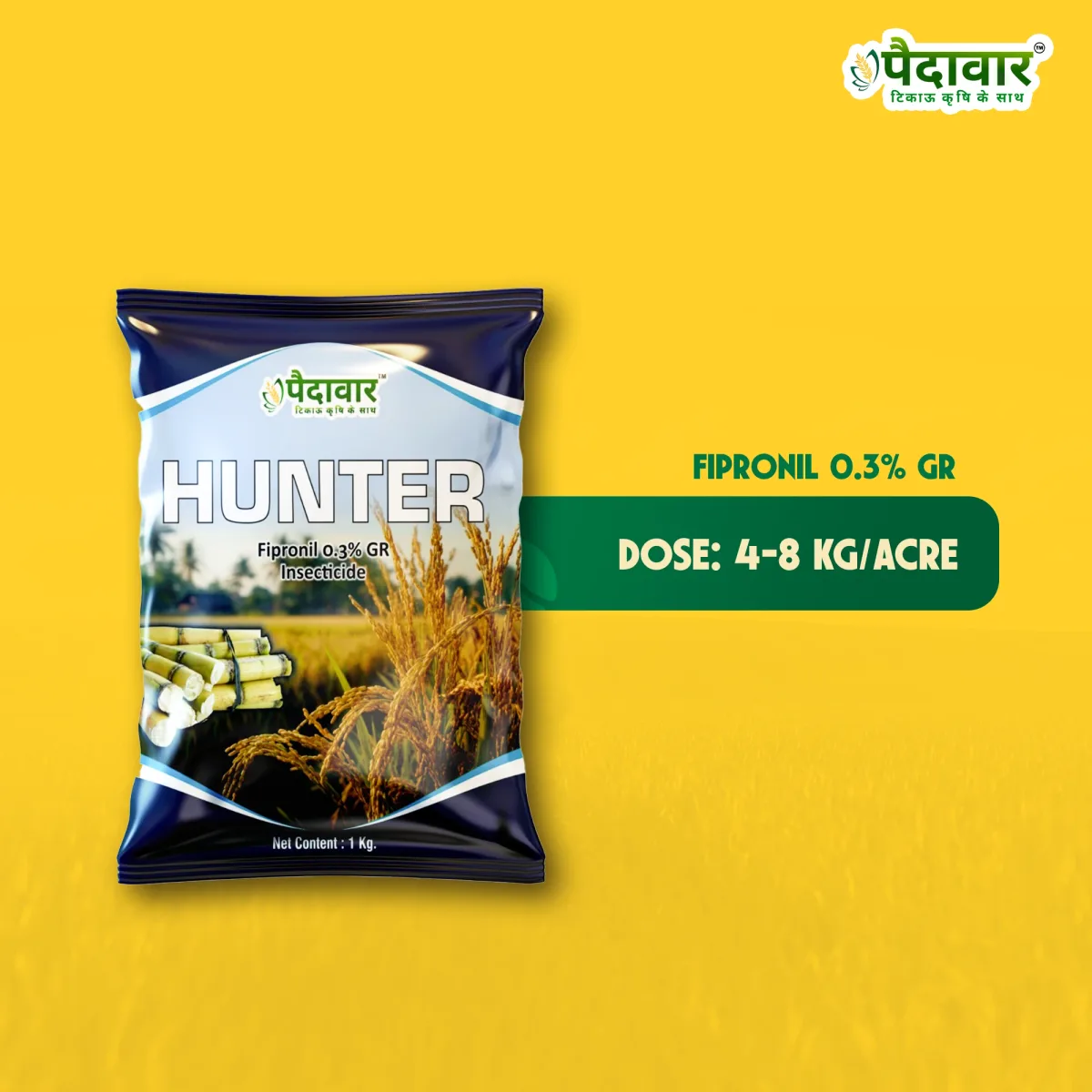 Paidavaar Hunter Insecticide - Chlorpyriphos 10% GR