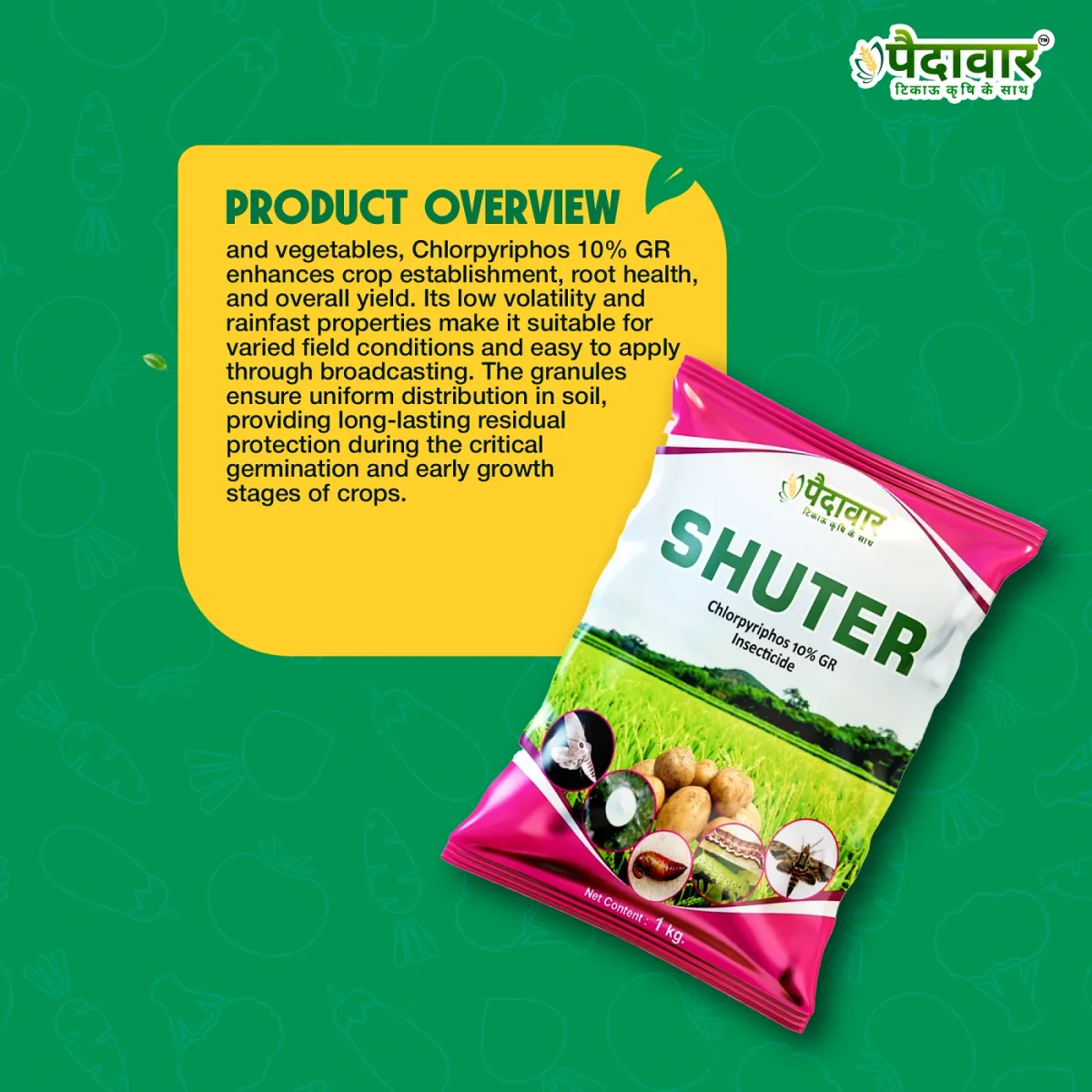 Paidavaar Shuter Insecticide - Chlorpyriphos 10% GR