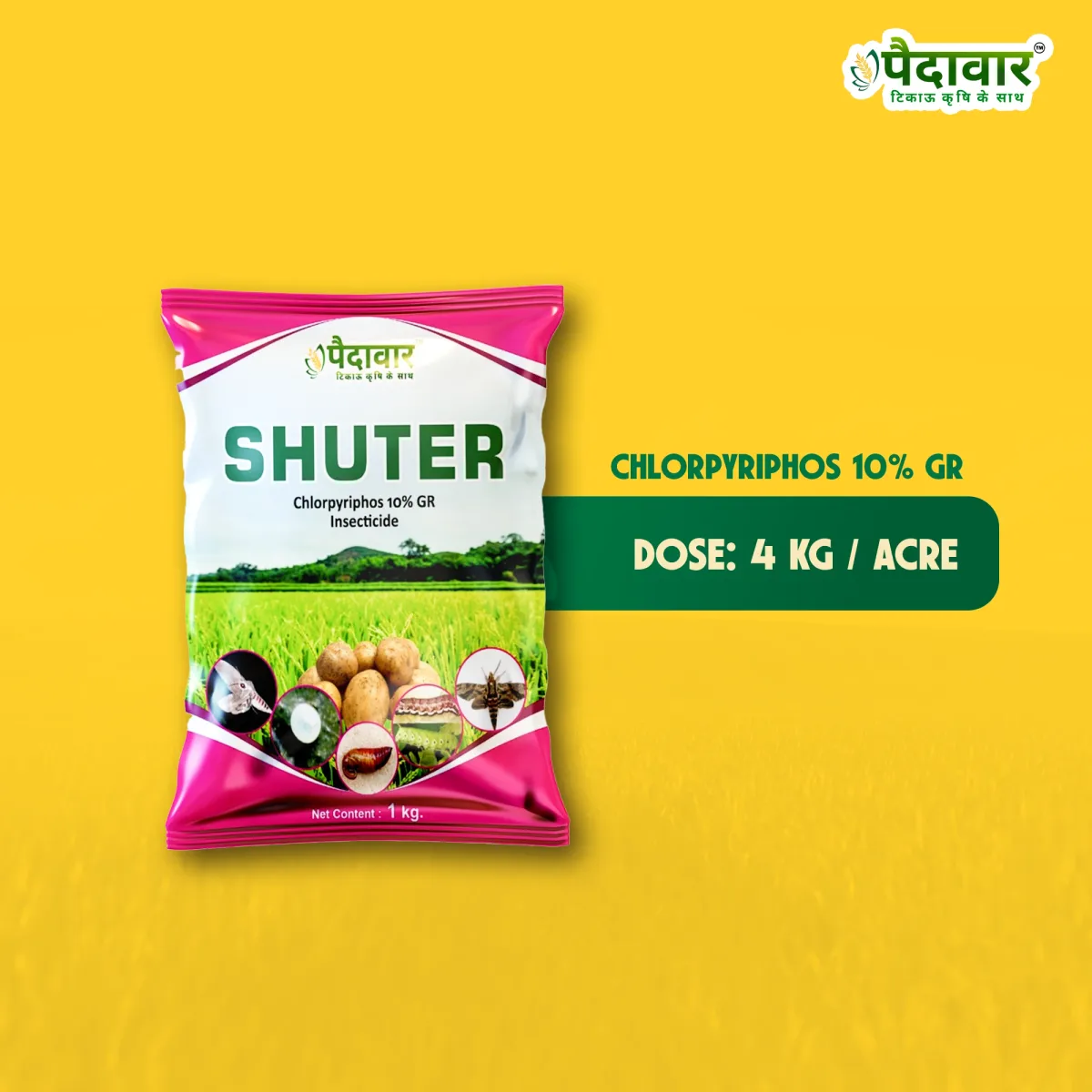 Paidavaar Shuter Insecticide - Chlorpyriphos 10% GR