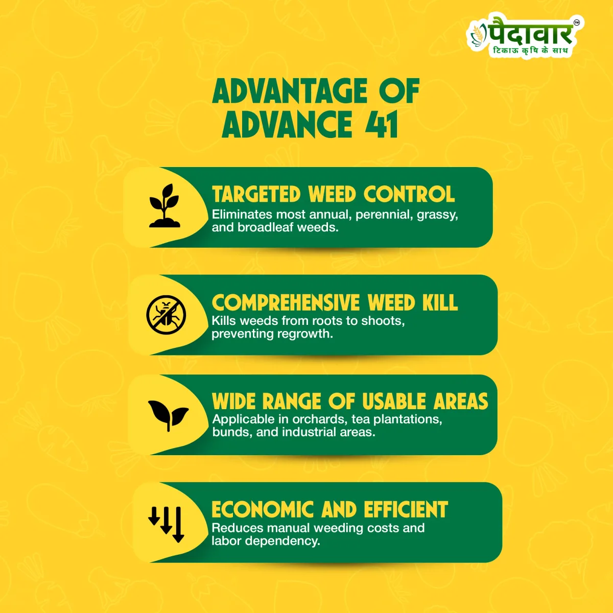 Paidavaar Advance - 41 Glyphosate 41% SL Herbicide