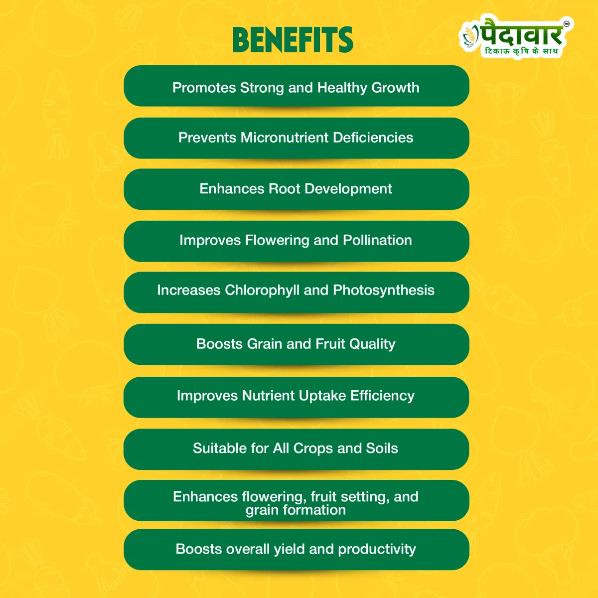 Paidavaar Zinc- High Multi Micronutrient Fertilizer