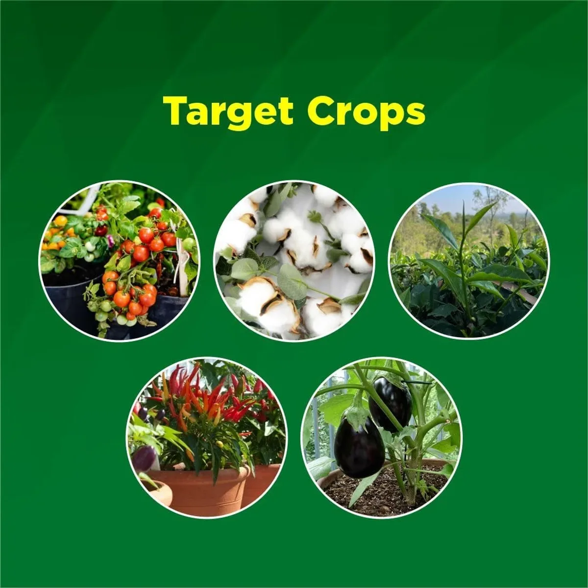 Titan Agritech Limited Azadirachtin 1% EC (NIIMPA 10000) | Neem Oil for Plant and Organic Home Gardening