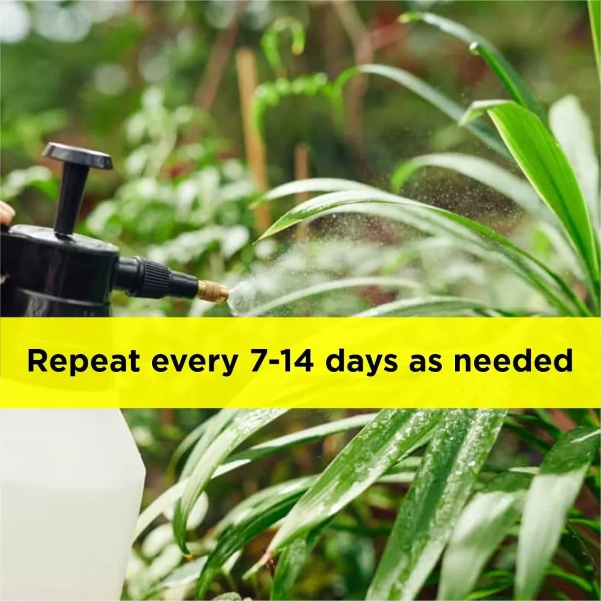 Titan Agritech Limited Azadirachtin 1% EC (NIIMPA 10000) | Neem Oil for Plant and Organic Home Gardening
