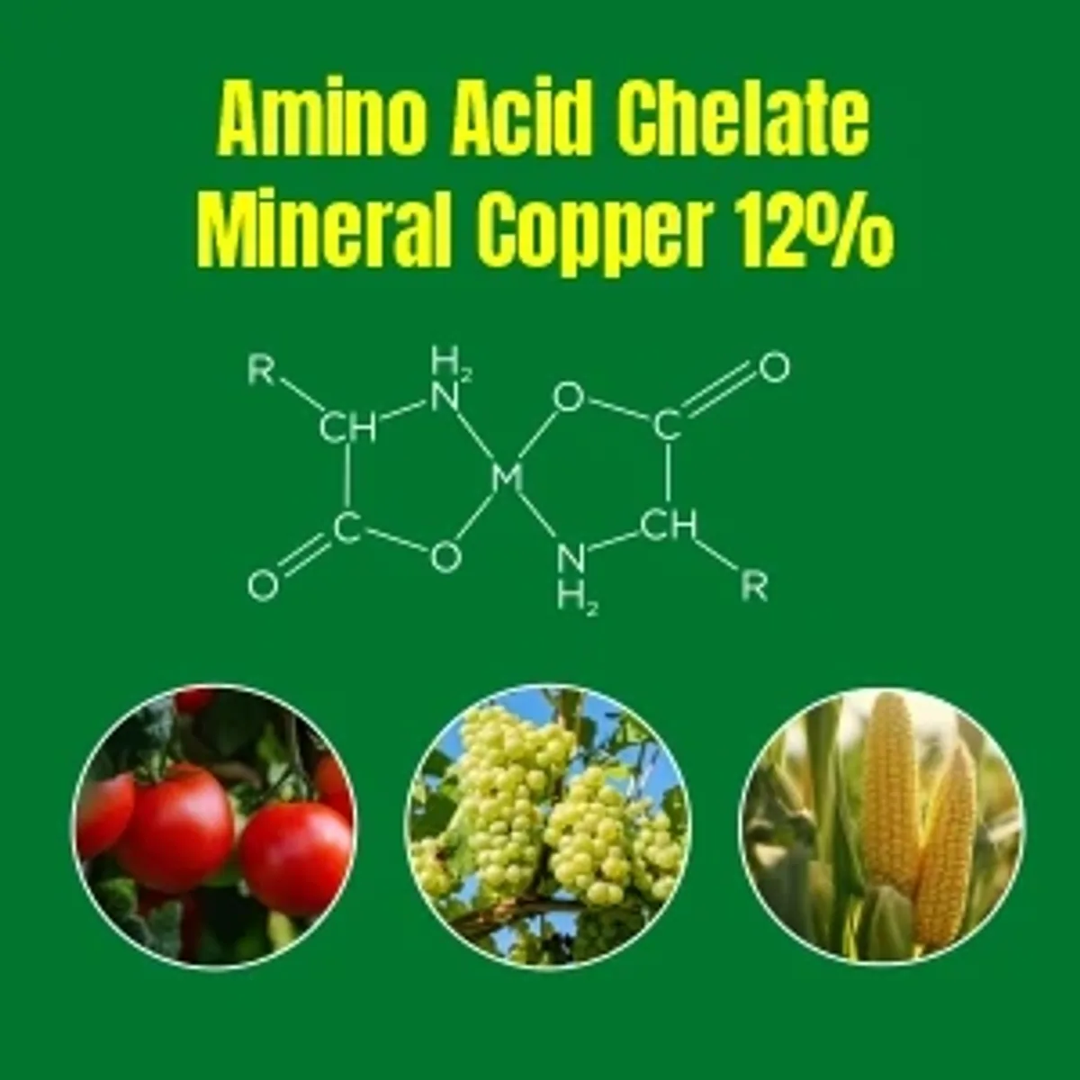 Titan Agritech Copper Amino Acid Chelate 12%