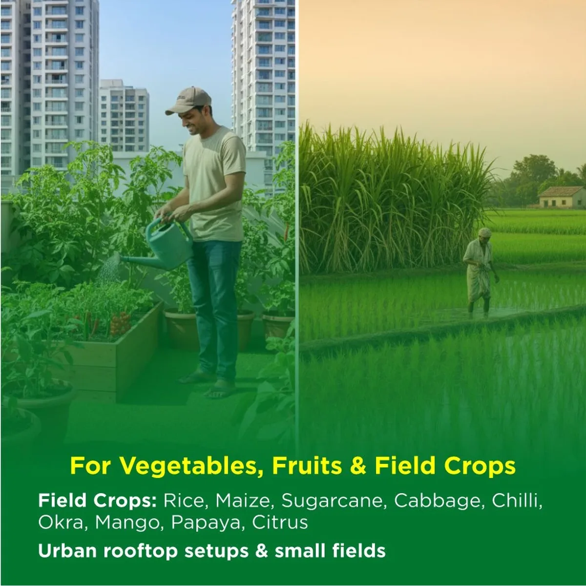 Titan Agritech Chlorantraniliprole 0.4% GR