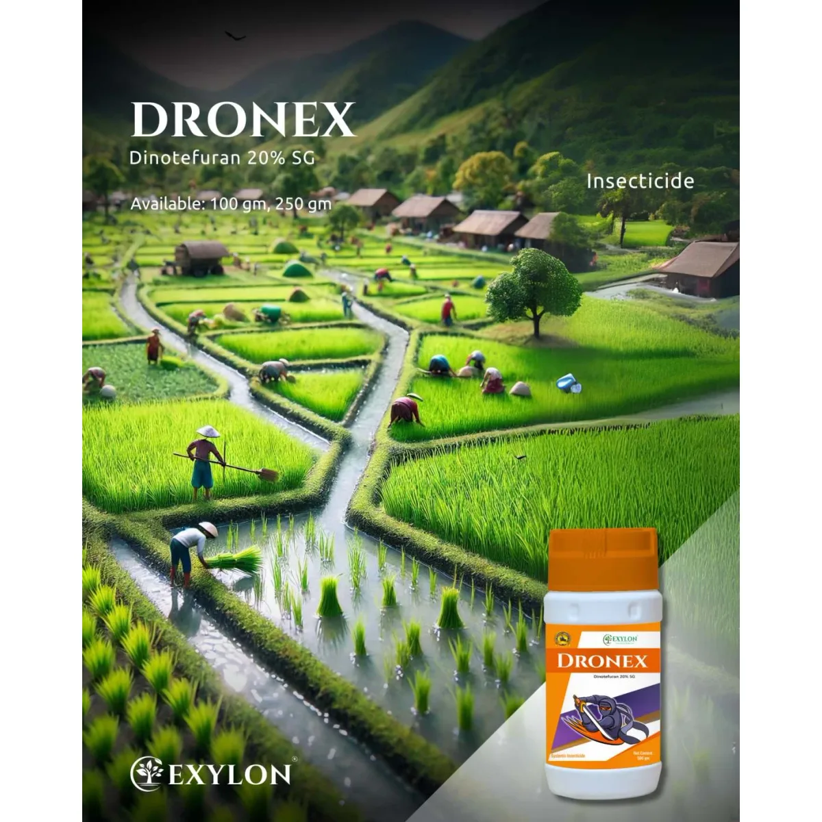 Exylon Dronex (Dinotefuran 20% SG) – Effective Insecticide for Cotton, Chilli, Vegetables & more