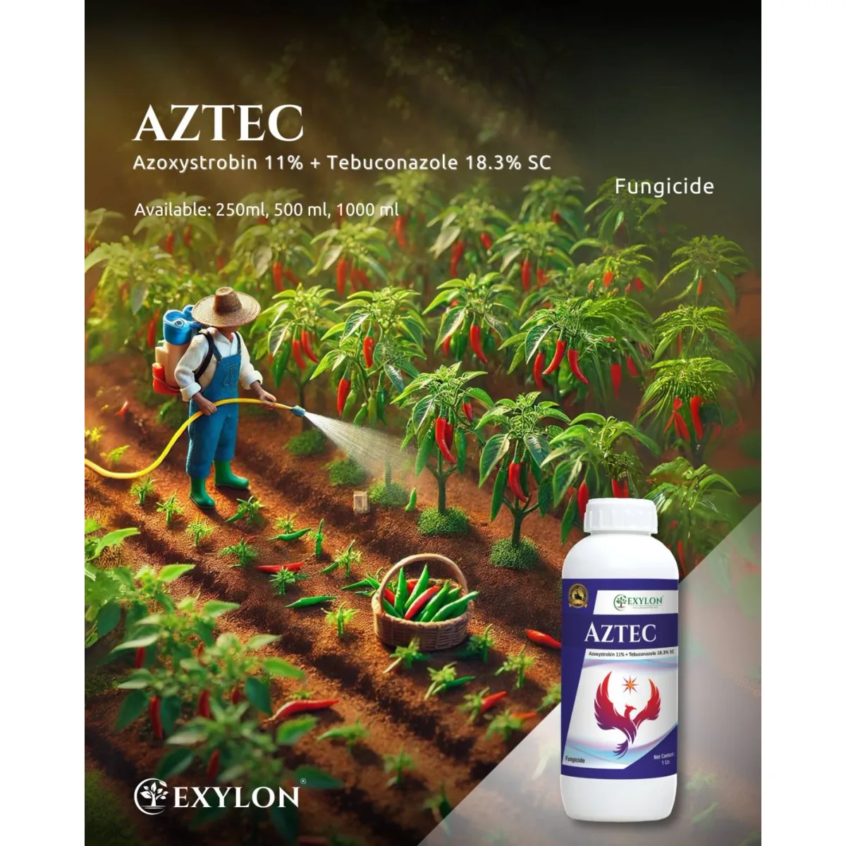 Exylon Aztec (Azoxystrobin 11% + Tebuconazole 18.3% W/W SC) – Effective Fungicide for Paddy, Groundnut, Vegetables & more