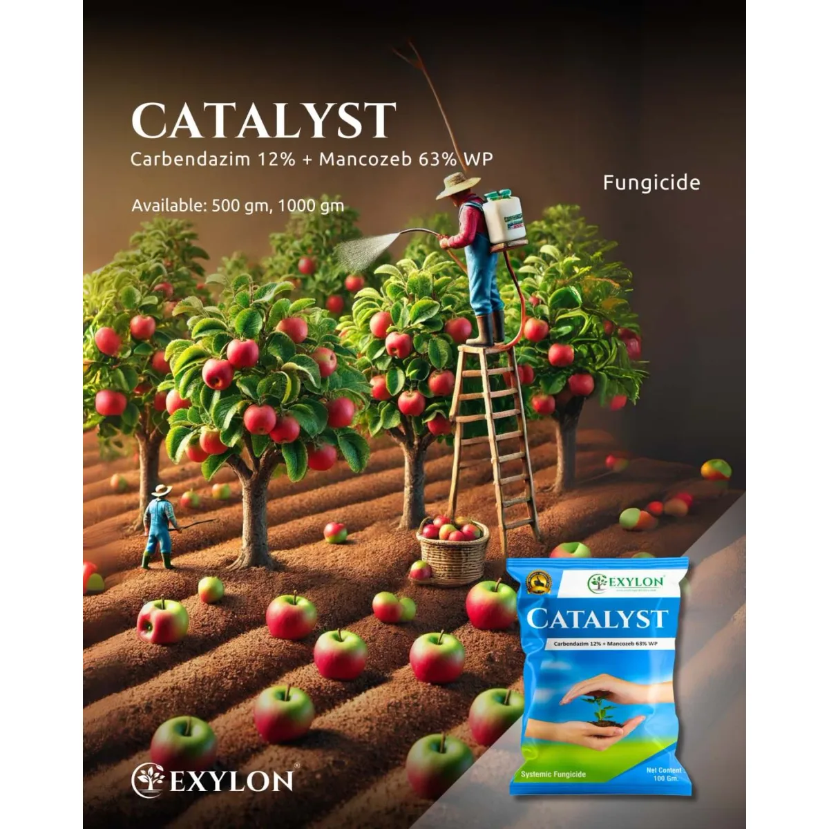 Exylon Catalyst (Carbendazim 12% + Mancozeb 63% WP) – Effective Fungicide for Paddy, Groundnut, Vegetables & more