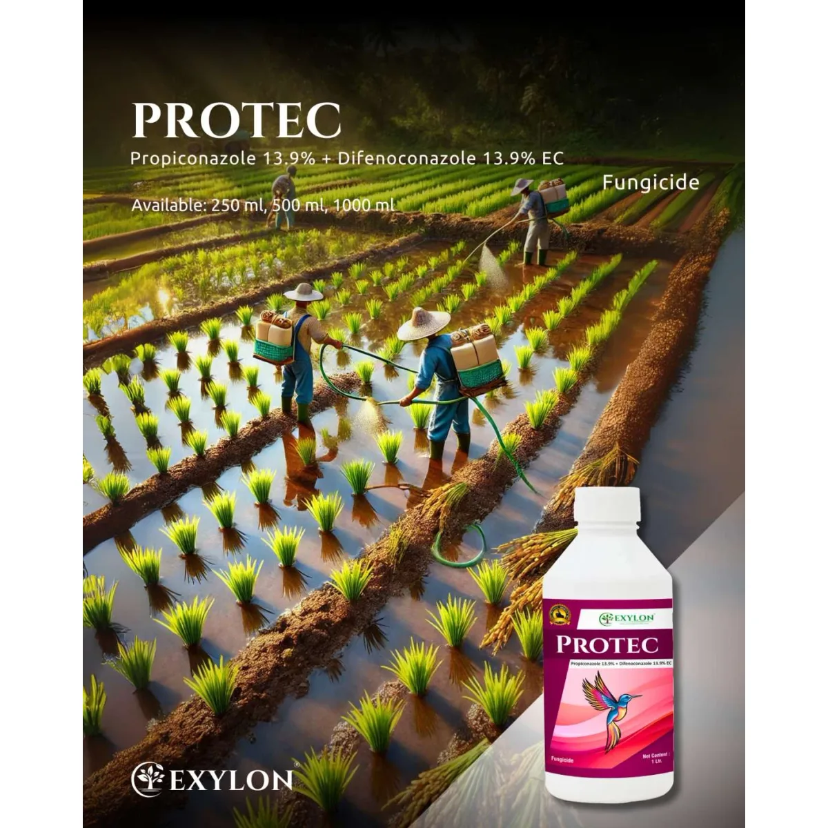 Exylon Protec (Propiconazole 13.9% + Difenoconazole 13.9% EC) – Effective Fungicide for Paddy, Wheat, Vegetables & more