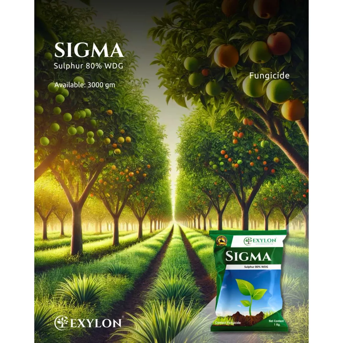 Exylon Sigma (Sulphur 80% WG) – Effective Fungicide for Grapes, Vegetables, Fruits & more