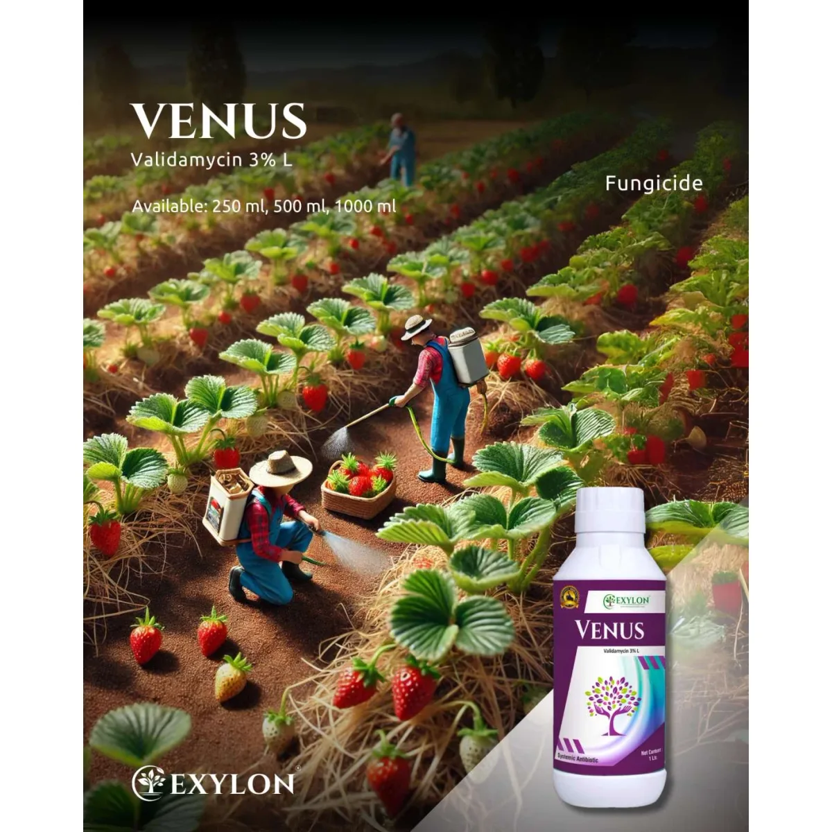 Exylon Venus (Validamycin 3% L) – Effective Fungicide for Paddy, Wheat, Vegetables & more