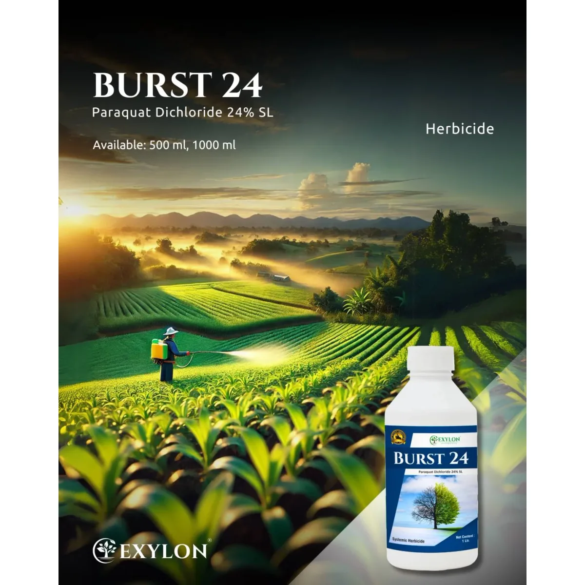 Exylon Burst 24 (Paraquat Dichloride 24% SL) – Effective Herbicide for Wheat, Paddy, Maize & more