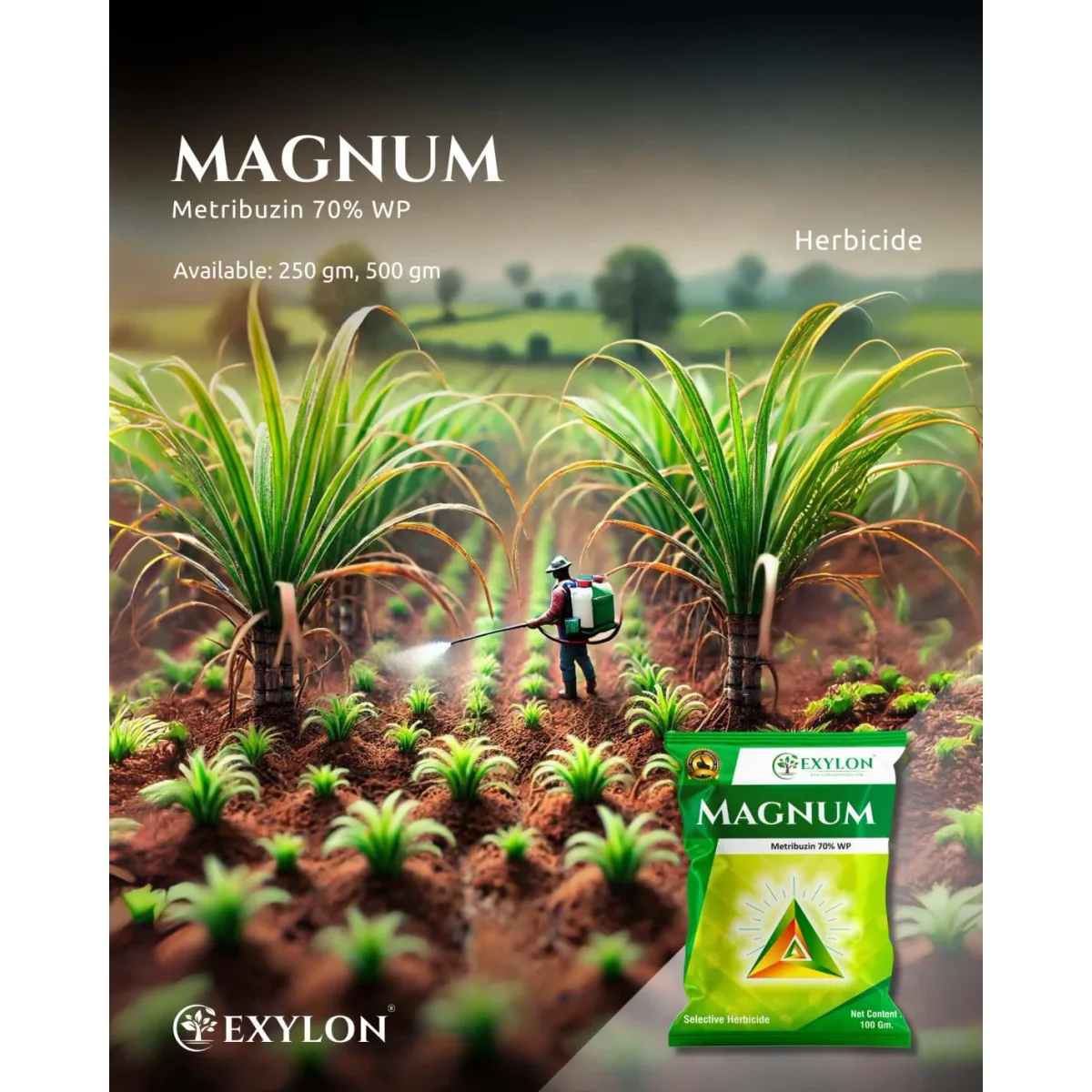 Exylon Magnum (Metribuzin 70% WP) – Selective Herbicide for Soybean, Potato, Maize & more