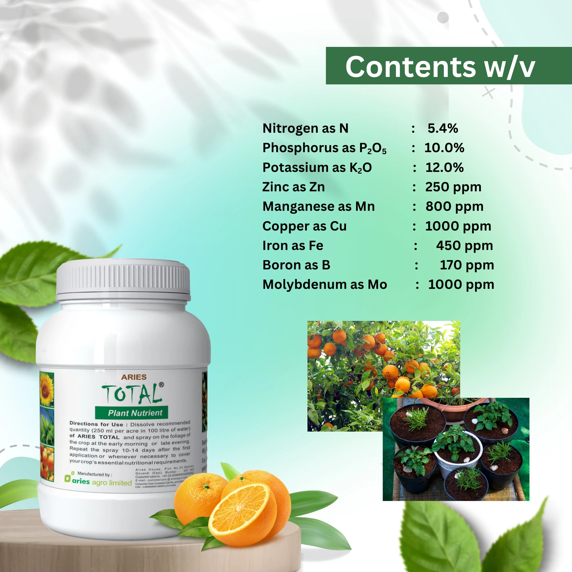 Product